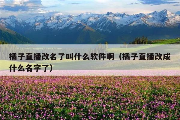 橘子直播改名了叫什么软件啊(橘子直播改成什么名字了)