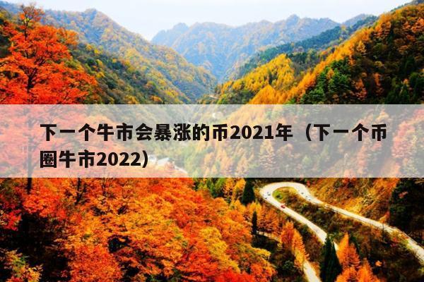 下一个牛市会暴涨的币2021年(下一个币圈牛市2022)
