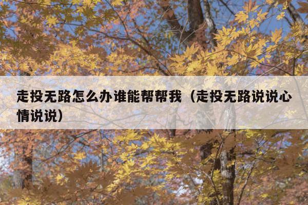 走投无路怎么办谁能帮帮我(走投无路说说心情说说)
