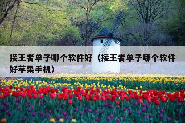 接王者单子哪个软件好(接王者单子哪个软件好苹果手机)