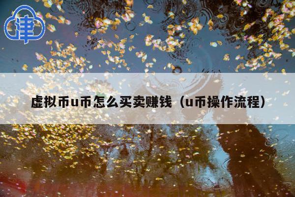 虚拟币u币怎么买卖赚钱(u币操作流程)