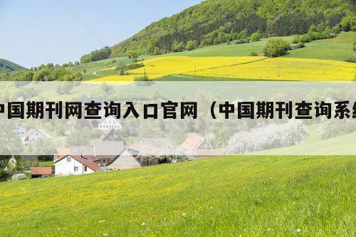 中国期刊网查询入口官网(中国期刊查询系统)