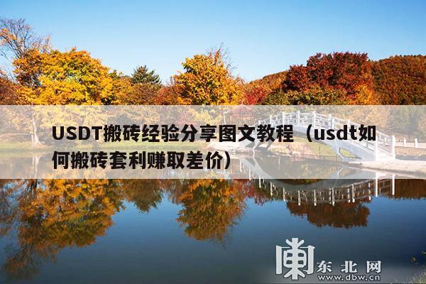 USDT搬砖经验分享图文教程(usdt如何搬砖套利赚取差价)