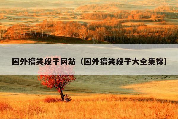 国外搞笑段子网站(国外搞笑段子大全集锦)