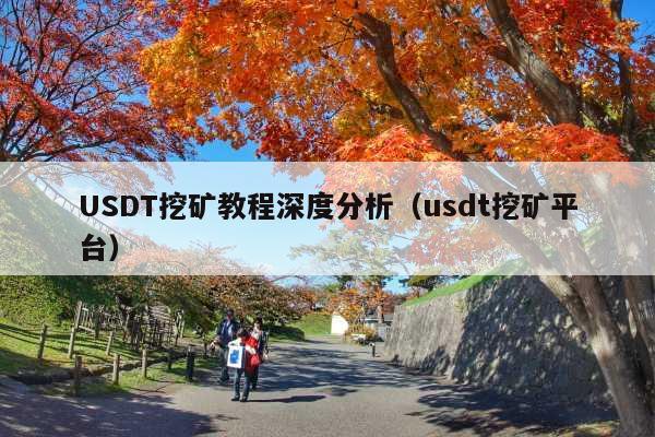 USDT挖矿教程深度分析(usdt挖矿平台)