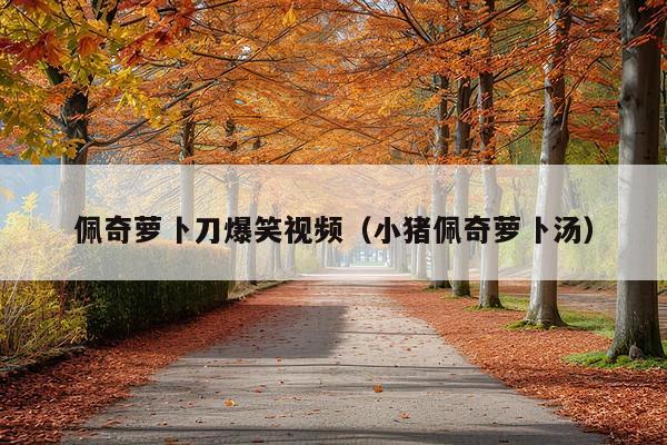 佩奇萝卜刀爆笑视频(小猪佩奇萝卜汤)