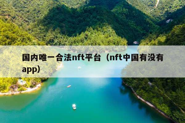 国内唯一合法nft平台(nft中国有没有app)