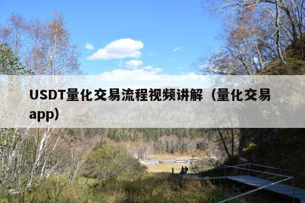 USDT量化交易流程视频讲解(量化交易 app)