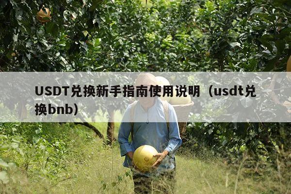 USDT兑换新手指南使用说明(usdt兑换bnb)