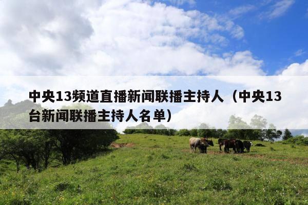 中央13频道直播新闻联播主持人(中央13台新闻联播主持人名单)