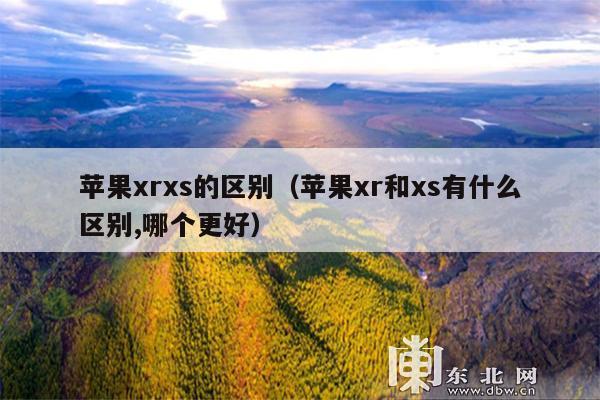 苹果xrxs的区别(苹果xr和xs有什么区别,哪个更好)