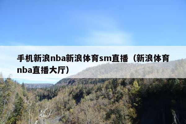 手机新浪nba新浪体育sm直播(新浪体育nba直播大厅)