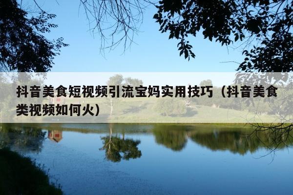 抖音美食短视频引流宝妈实用技巧(抖音美食类视频如何火)