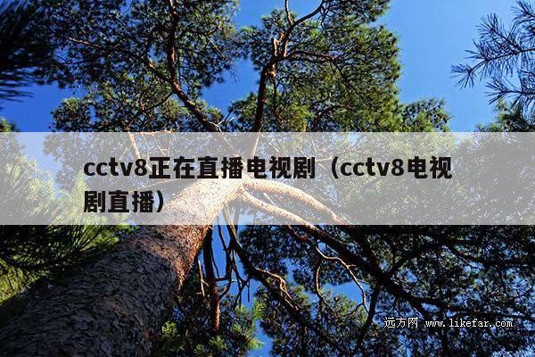 cctv8正在直播电视剧(cctv8电视剧直播)