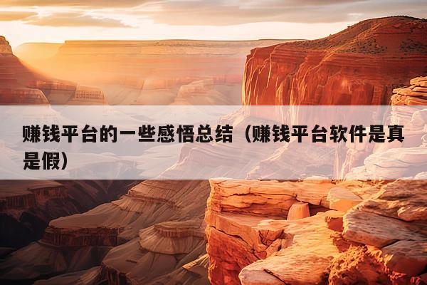 赚钱平台的一些感悟总结(赚钱平台软件是真是假)