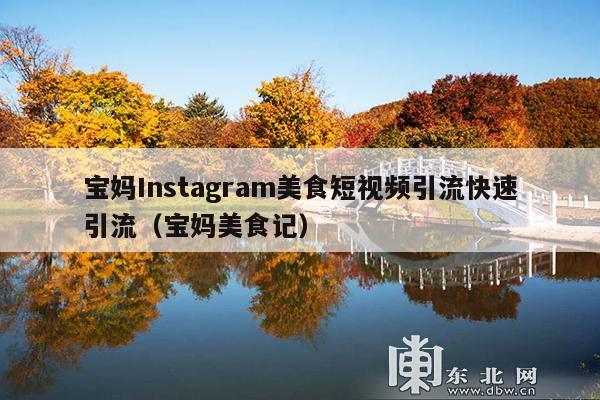 宝妈Instagram美食短视频引流快速引流(宝妈美食记)