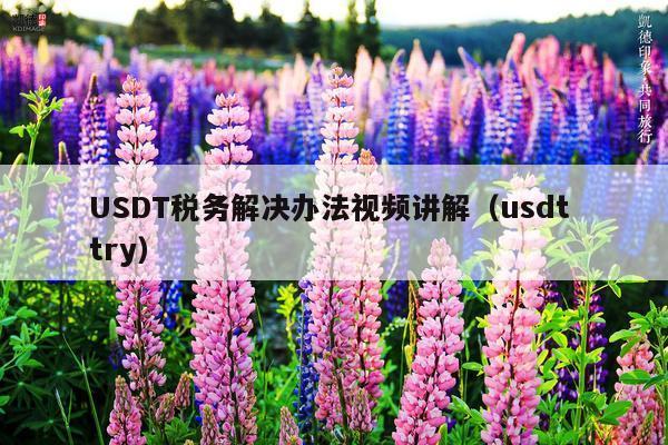 USDT税务解决办法视频讲解(usdt try)