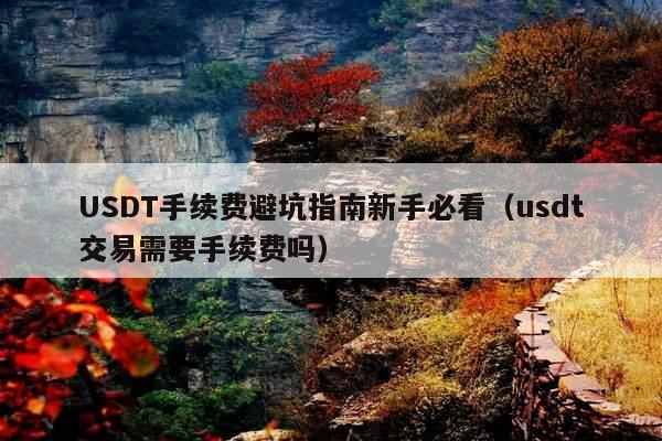 USDT手续费避坑指南新手必看(usdt交易需要手续费吗)