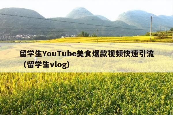 留学生YouTube美食爆款视频快速引流(留学生vlog)