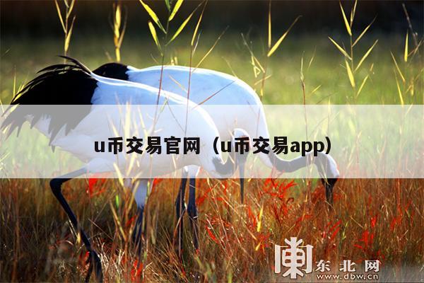 u币交易官网(u币交易app)