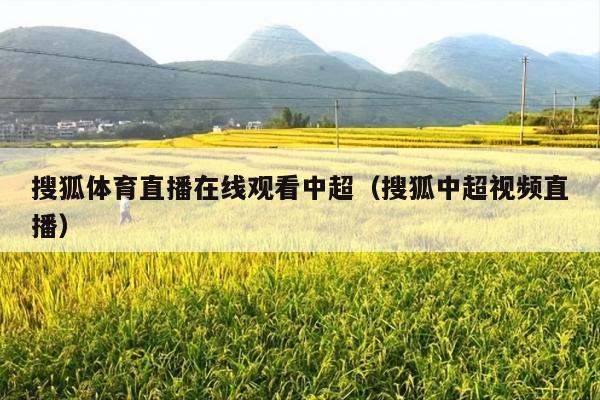 搜狐体育直播在线观看中超(搜狐中超视频直播)