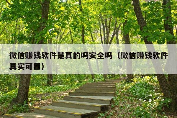 微信赚钱软件是真的吗安全吗(微信赚钱软件真实可靠)