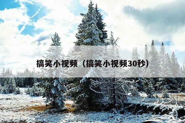 搞笑小视频(搞笑小视频30秒)