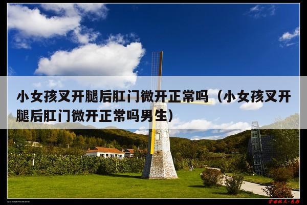 小女孩叉开腿后肛门微开正常吗(小女孩叉开腿后肛门微开正常吗男生)