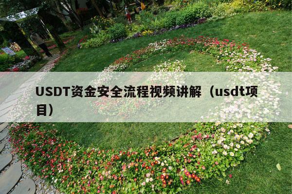 USDT资金安全流程视频讲解(usdt项目)