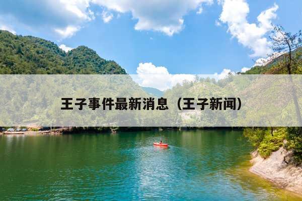 王子事件最新消息(王子新闻)