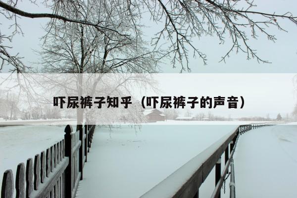 吓尿裤子知乎(吓尿裤子的声音)