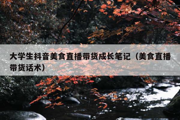 大学生抖音美食直播带货成长笔记(美食直播带货话术)