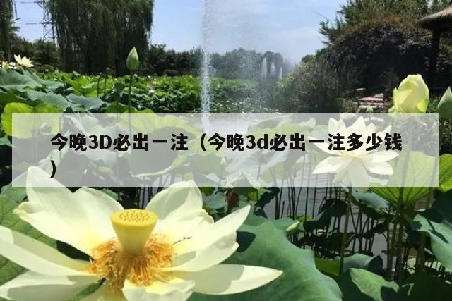 今晚3D必出一注(今晚3d必出一注多少钱)