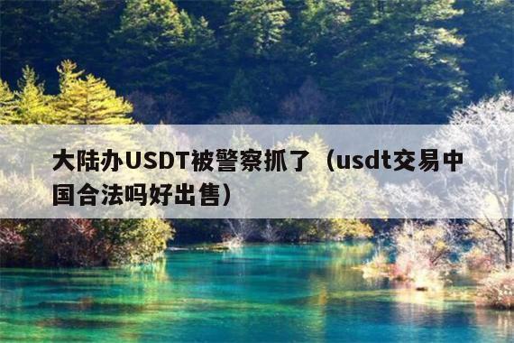 大陆办USDT被警察抓了(usdt交易中国合法吗好出售)