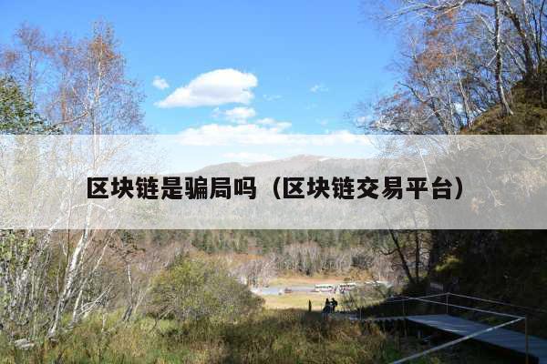 区块链是骗局吗(区块链交易平台)