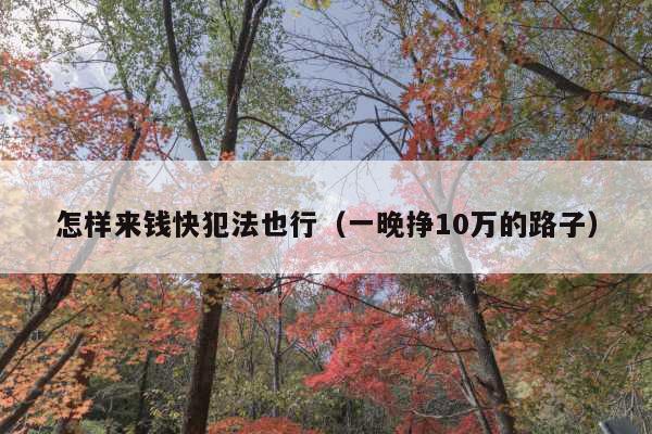怎样来钱快犯法也行(一晚挣10万的路子)