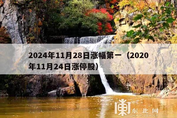 2024年11月28日涨幅第一(2020年11月24日涨停股)
