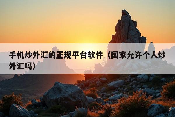 手机炒外汇的正规平台软件(国家允许个人炒外汇吗)