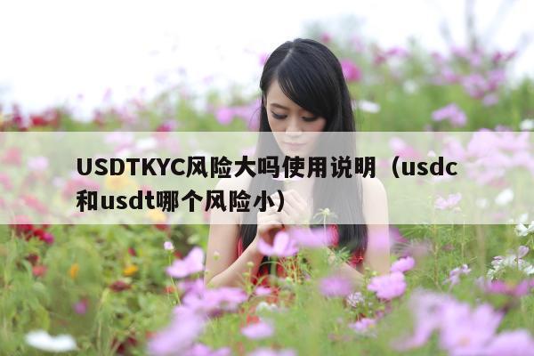 USDTKYC风险大吗使用说明(usdc和usdt哪个风险小)