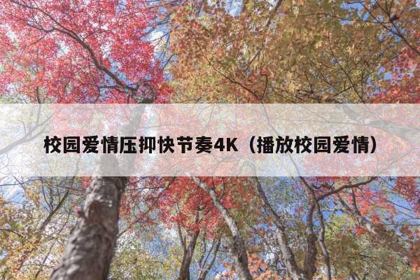 校园爱情压抑快节奏4K(播放校园爱情)