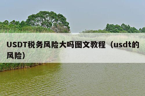 USDT税务风险大吗图文教程(usdt的风险)