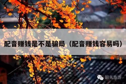 配音赚钱是不是骗局(配音赚钱容易吗)