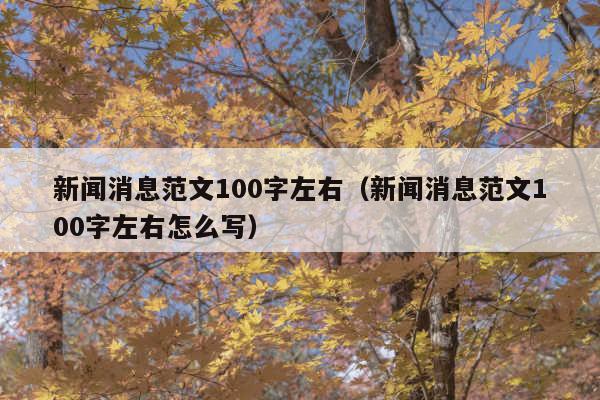 新闻消息范文100字左右(新闻消息范文100字左右怎么写)