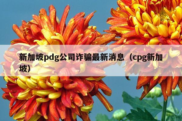 新加坡pdg公司诈骗最新消息(cpg新加坡)