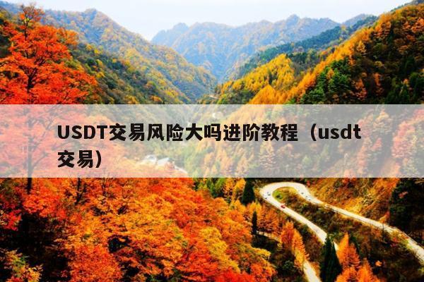 USDT交易风险大吗进阶教程(usdt 交易)