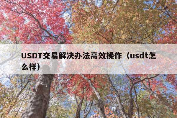 USDT交易解决办法高效操作(usdt怎么样)