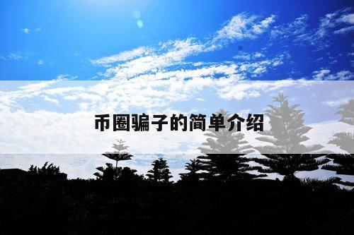 币圈骗子的简单介绍