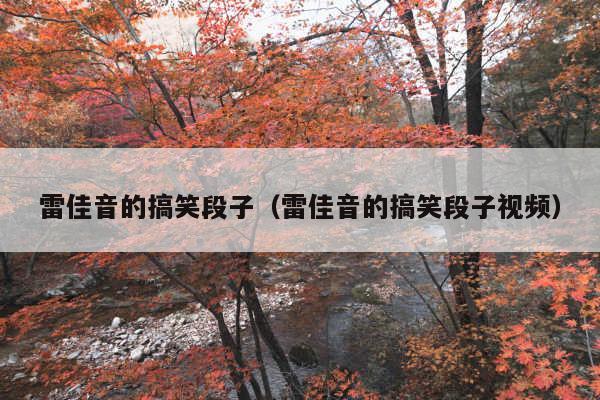 雷佳音的搞笑段子(雷佳音的搞笑段子视频)