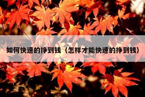 如何快速的挣到钱(怎样才能快速的挣到钱)