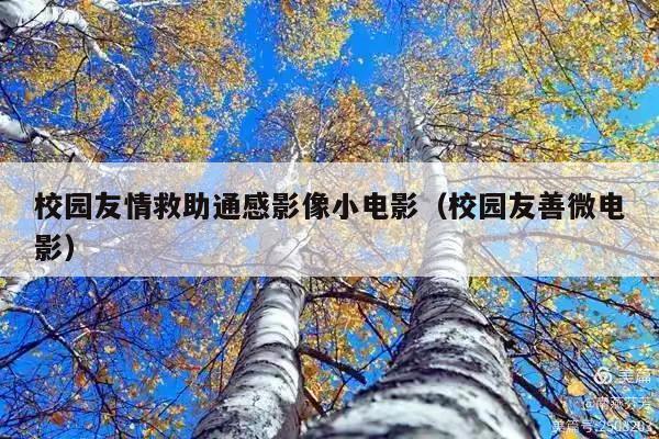 校园友情救助通感影像小电影(校园友善微电影)